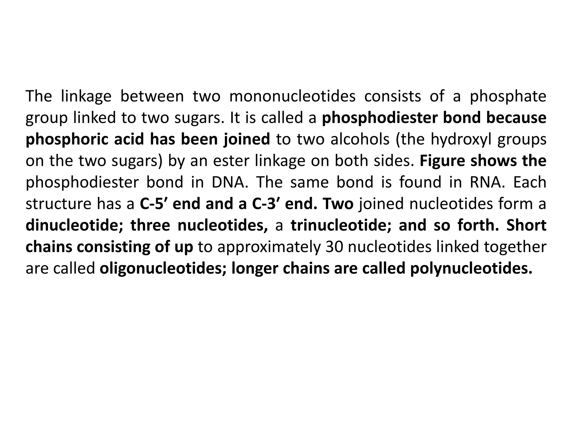 Molecular basis of life: Structures and function of DNA and RNA | PPTX