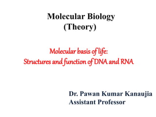 Dr. Pawan Kumar Kanaujia
Assistant Professor
Molecular Biology
(Theory)
Molecular basis of life:
Structures and function of DNA and RNA
 