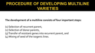 The development of a multiline consists of four important steps:
(1) Selection of recurrent parent,
(2) Selection of donor parents,
(3)Transfer of resistant genes into recurrent parent, and
(4) Mixing of seed of the isogenic lines.
 