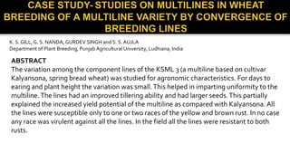 K. S. GILL, G. S. NANDA, GURDEV SINGH and S. S. AUJLA
Department of Plant Breeding, Punjab Agricultural University, Ludhiana, India
ABSTRACT
The variation among the component lines of the KSML 3 (a multiline based on cultivar
Kalyansona, spring bread wheat) was studied for agronomic characteristics. For days to
earing and plant height the variation was small.This helped in imparting uniformity to the
multiline.The lines had an improved tillering ability and had larger seeds.This partially
explained the increased yield potential of the multiline as compared with Kalyansona. All
the lines were susceptible only to one or two races of the yellow and brown rust. In no case
any race was virulent against all the lines. In the field all the lines were resistant to both
rusts.
 