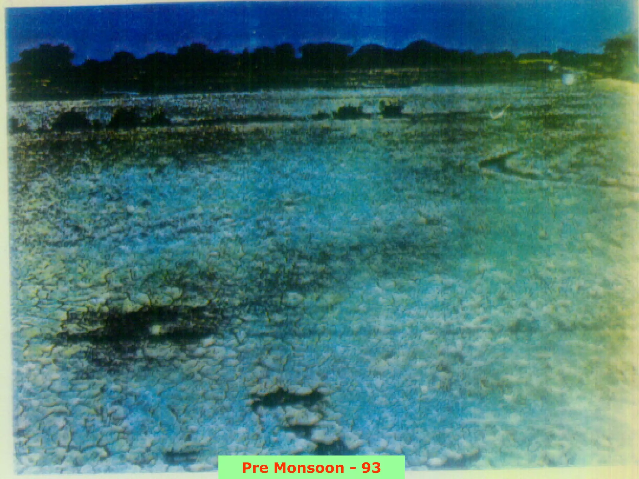 Pre Monsoon - 93
 
