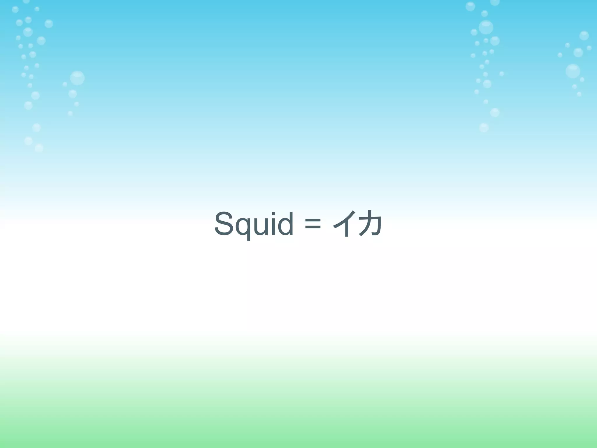 Squid = イカ
 