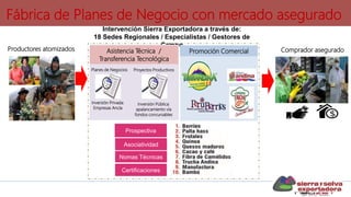 Fábrica de Planes de Negocio con mercado asegurado
Productores atomizados
Intervención Sierra Exportadora a través de:
18 Sedes Regionales / Especialistas / Gestores de
Campo
Planes de Negocios Proyectos Productivos
Inversión Privada:
Empresas Ancla
Inversión Pública:
apalancamiento vía
fondos concursables
Asistencia Técnica /
Transferencia Tecnológica
Promoción Comercial Comprador asegurado
Asociatividad
Nomas Técnicas
Prospectiva
Certificaciones
 