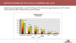 EXPORTACIONES DE PALTA EN LO CORRIDO DEL 2016
17
Holanda es el principal destino con U$ 143 millones (41% del total), le sigue España con U$ 71 millones
(20%) y USA con U$ 61 millones (18%), entre 25 Países
 