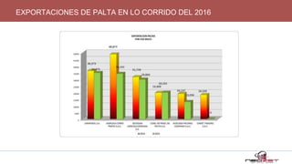 EXPORTACIONES DE PALTA EN LO CORRIDO DEL 2016
 