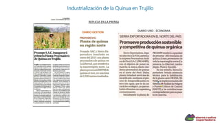 DIARIO GESTION DIARIO UNO - ECONOMIA
REPLICAS EN LA PRENSA
Industrialización de la Quinua en Trujillo
 