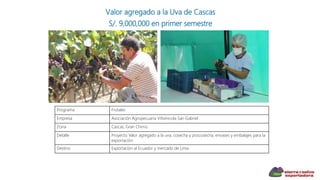 Valor agregado a la Uva de Cascas
S/. 9,000,000 en primer semestre
Programa Frutales
Empresa Asociación Agropecuaria Vitivinicola San Gabriel
Zona Cascas, Gran Chimú
Detalle Proyecto Valor agregado a la uva, cosecha y poscosecha, envases y embalajes para la
exportación
Destino Exportación al Ecuador y mercado de Lima
 