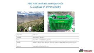 Palta Hass certificada para exportación
S/. 2,200,000 en primer semestre
Programa Palta Hass
Empresa FAIRTRASA PERU SA
Zona Virú, Chao, Santa Catalina, Otuzco
Detalle Buenas Prácticas Agrícolas y certificación orgánica para Palta HASS de exportación
Destino Exportación a Europa y China
 