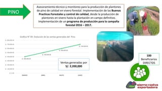 PINO
100
Beneficiarios
DIRECTOS
Asesoramiento técnico y monitoreo para la producción de plantones
de pino de calidad en vivero forestal. Implementación de las Buenas
Practicas Forestales y control de calidad, desde la producción de
plantones en vivero hasta la plantación en campo definitivo.
Implementación de un programa de producción para la campaña
forestal 2016 – 2017.
Ventas generadas por
S/. 2,200,000
S/. 400,000.00
S/. 500,000.00
S/. 600,000.00
S/. 700,000.00
S/. 0.00
S/. 100,000.00
S/. 200,000.00
S/. 300,000.00
S/. 400,000.00
S/. 500,000.00
S/. 600,000.00
S/. 700,000.00
S/. 800,000.00
MARZO ABRIL MAYO JUNIO
Gráfico N° 04: Evolución de las ventas generadas del Pino
 