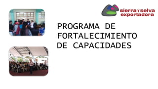 PROGRAMA DE
FORTALECIMIENTO
DE CAPACIDADES
 