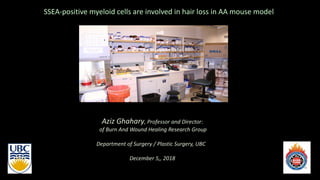 SSEA-positive myeloid cells are involved in hair loss in AA mouse model
Aziz Ghahary, Professor and Director:
of Burn And Wound Healing Research Group
Department of Surgery / Plastic Surgery, UBC
December 5,, 2018
 