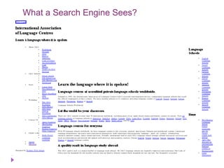 What a Search Engine Sees?
 