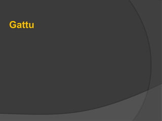 Gattu
 