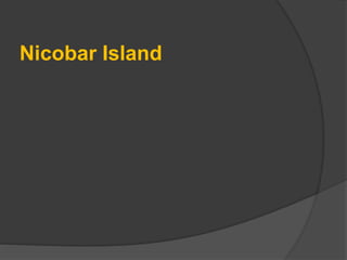 Nicobar Island
 