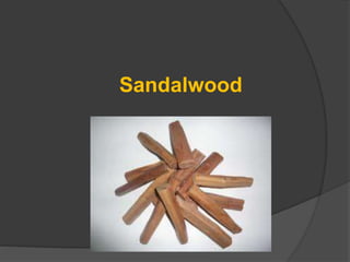 Sandalwood
 