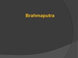 Brahmaputra
 