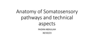 Anatomy of Somatosensory
pathways and technical
aspects
FAIZAN ABDULLAH
30/10/23
 