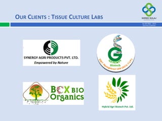 Hybrid Agri Biotech Pvt. Ltd.
OUR CLIENTS : TISSUE CULTURE LABS
AN ISO 9001 : 2015
CERTIFIED COMPANY
 