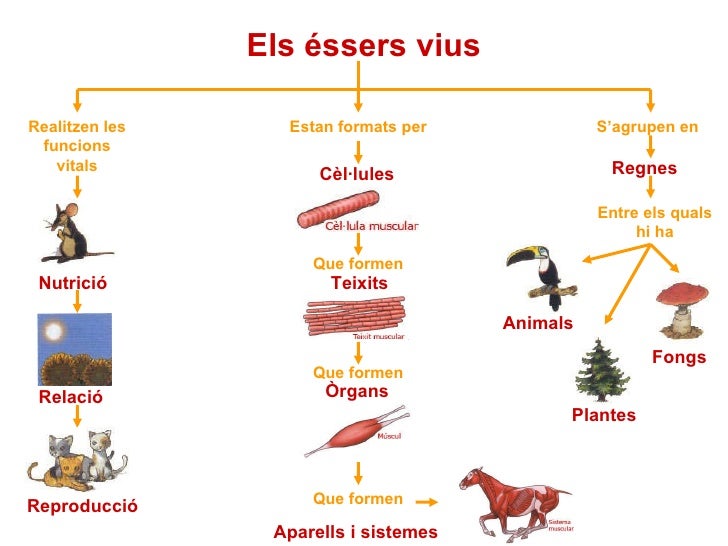 Els èssers vius