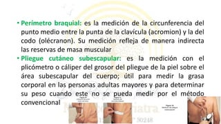 semiologia-somatometria-pptx