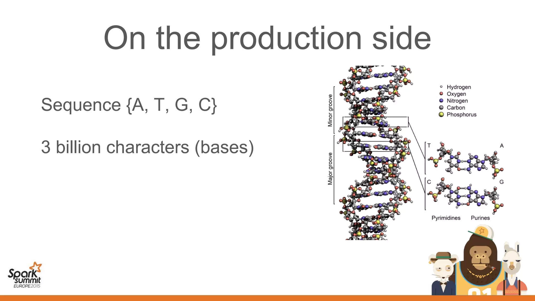On the production side
Sequence {A, T, G, C}
3 billion characters (bases)
 