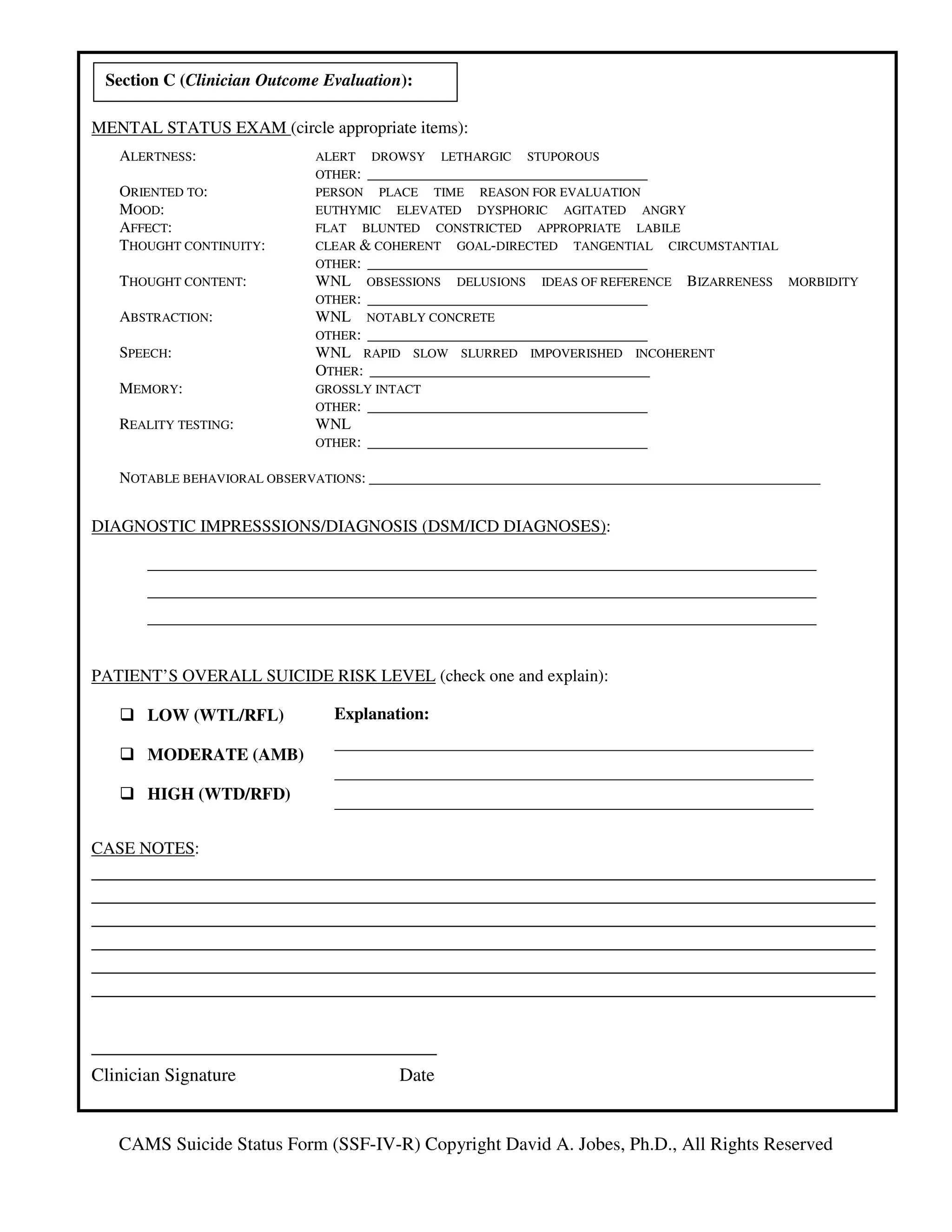 Sff Questionnaire.pdf SSF-IV-R | PDF