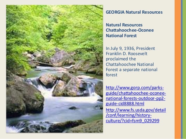 Fauna in english picture