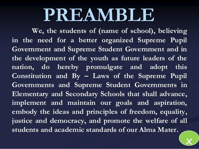 Preamble essay