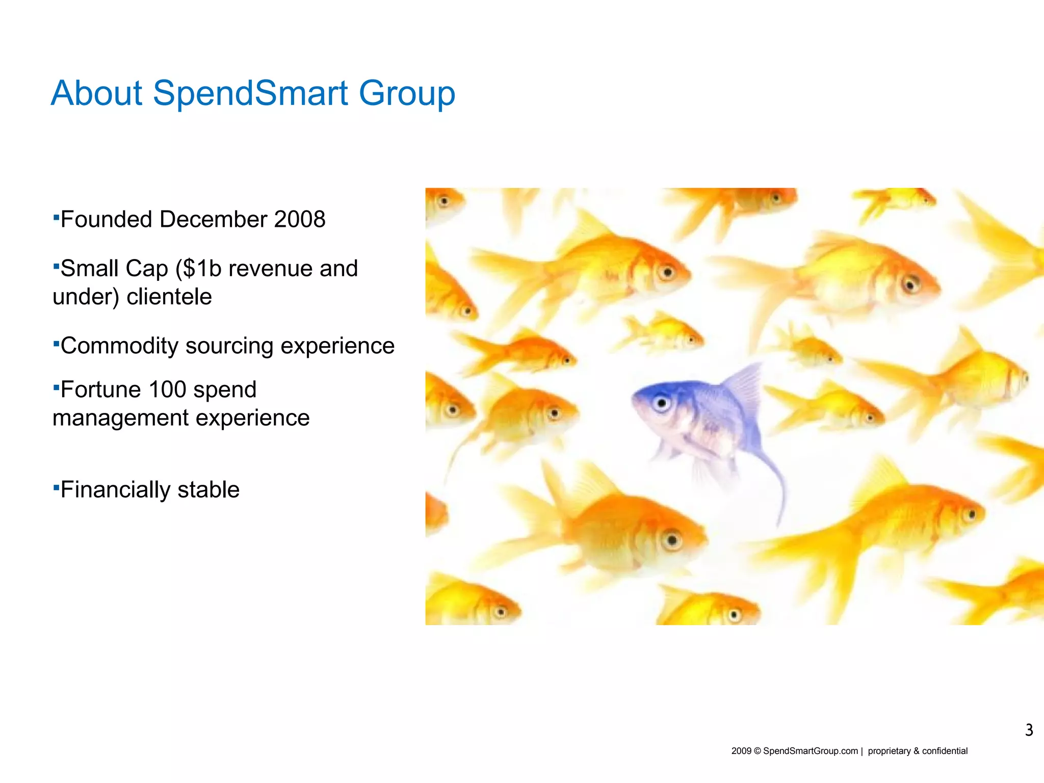 About SpendSmart Group Founded December 2008 Small Cap ($1b revenue and under) clientele Commodity sourcing experience Fortune 100 spend management experience Financially stable 2009 © SpendSmartGroup.com |  proprietary & confidential 