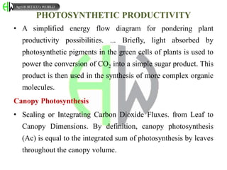 PHOTOSYNTHETIC PRODUCTIVITY
• A simplified energy flow diagram for pondering plant
productivity possibilities. ... Briefly, light absorbed by
photosynthetic pigments in the green cells of plants is used to
power the conversion of CO2 into a simple sugar product. This
product is then used in the synthesis of more complex organic
molecules.
Canopy Photosynthesis
• Scaling or Integrating Carbon Dioxide Fluxes. from Leaf to
Canopy Dimensions. By definition, canopy photosynthesis
(Ac) is equal to the integrated sum of photosynthesis by leaves
throughout the canopy volume.
AgriHORTICO’s WORLD
 