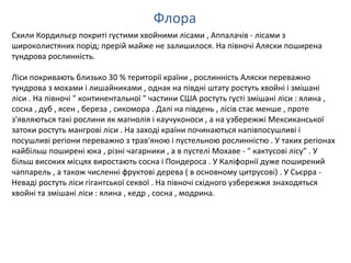 Флора
Схили Кордильєр покриті густими хвойними лісами , Аппалачів - лісами з
широколистяних порід; прерій майже не залишилося. На півночі Аляски поширена
тундрова рослинність.
Ліси покривають близько 30 % території країни , рослинність Аляски переважно
тундрова з мохами і лишайниками , однак на півдні штату ростуть хвойні і змішані
ліси . На півночі " континентальної " частини США ростуть густі змішані ліси : ялина ,
сосна , дуб , ясен , береза , сикомора . Далі на південь , лісів стає менше , проте​​
з'являються такі рослини як магнолія і каучуконоси , а на узбережжі Мексиканської
затоки ростуть мангрові ліси . На заході країни починаються напівпосушливі і
посушливі регіони переважно з трав'яною і пустельною рослинністю . У таких регіонах
найбільш поширені юка , різні чагарники , а в пустелі Мохаве - " кактусові лісу" . У
більш високих місцях виростають сосна і Пондероса . У Каліфорнії дуже поширений
чаппарель , а також численні фруктові дерева ( в основному цитрусові) . У Сьєрра -
Неваді ростуть ліси гігантської секвої . На півночі східного узбережжя знаходяться
хвойні та змішані ліси : ялина , кедр , сосна , модрина.
 