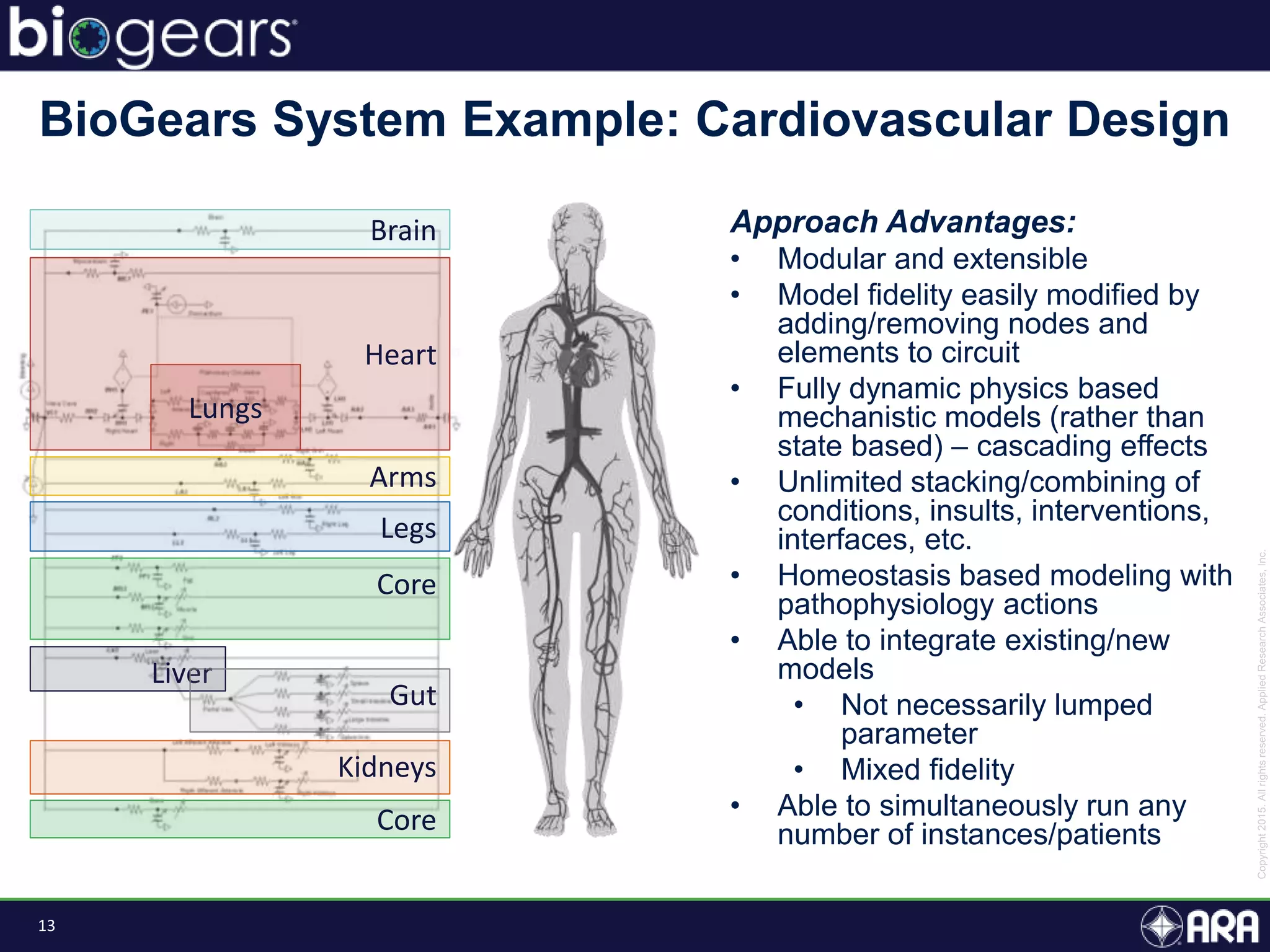 13
BioGears System Example: Cardiovascular Design
Brain
Heart
Arms
Legs
Core
Approach Advantages:
• Modular and extensible
• Model fidelity easily modified by
adding/removing nodes and
elements to circuit
• Fully dynamic physics based
mechanistic models (rather than
state based) – cascading effects
• Unlimited stacking/combining of
conditions, insults, interventions,
interfaces, etc.
• Homeostasis based modeling with
pathophysiology actions
• Able to integrate existing/new
models
• Not necessarily lumped
parameter
• Mixed fidelity
• Able to simultaneously run any
number of instances/patients
Liver
Gut
Kidneys
Core
Lungs
 