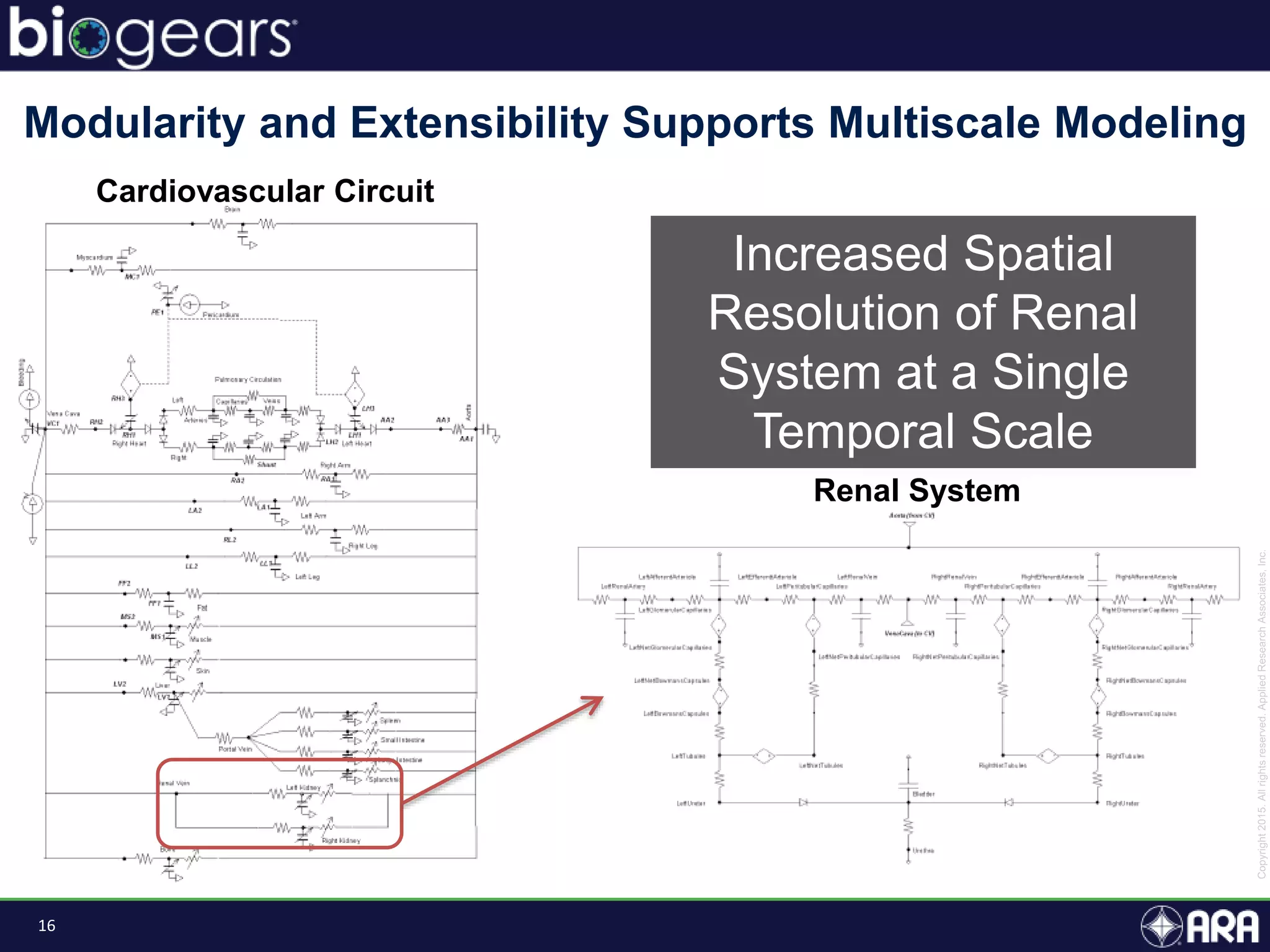 16
Modularity and Extensibility Supports Multiscale Modeling
Increased Spatial
Resolution of Renal
System at a Single
Temporal Scale
Cardiovascular Circuit
Renal System
 