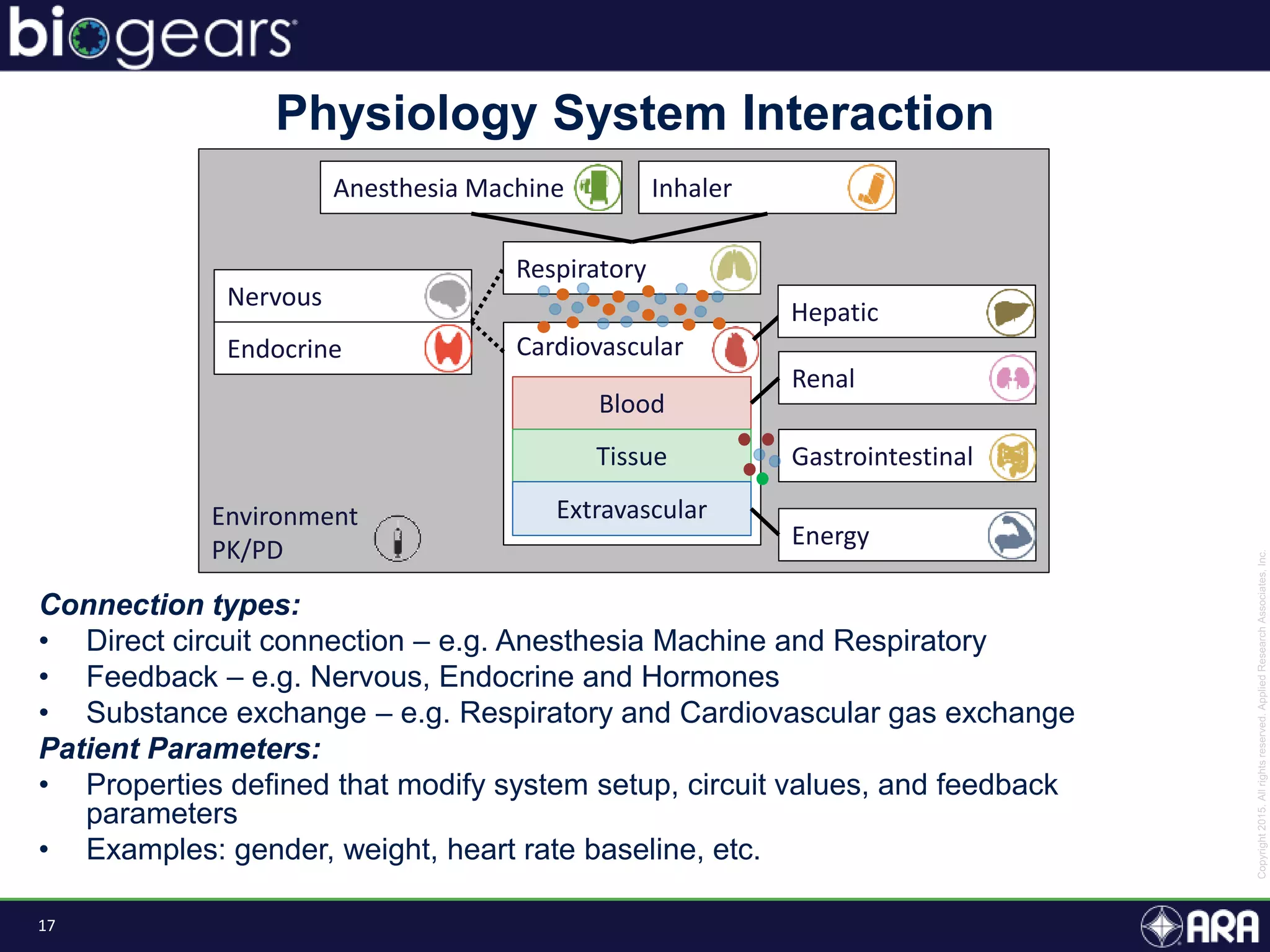17
Connection types:
• Direct circuit connection – e.g. Anesthesia Machine and Respiratory
• Feedback – e.g. Nervous, Endocrine and Hormones
• Substance exchange – e.g. Respiratory and Cardiovascular gas exchange
Patient Parameters:
• Properties defined that modify system setup, circuit values, and feedback
parameters
• Examples: gender, weight, heart rate baseline, etc.
Physiology System Interaction
Environment
PK/PD
Cardiovascular
Blood
Tissue
Extravascular
Respiratory
Anesthesia Machine
Renal
Gastrointestinal
Energy
Nervous
Endocrine
Inhaler
Hepatic
 