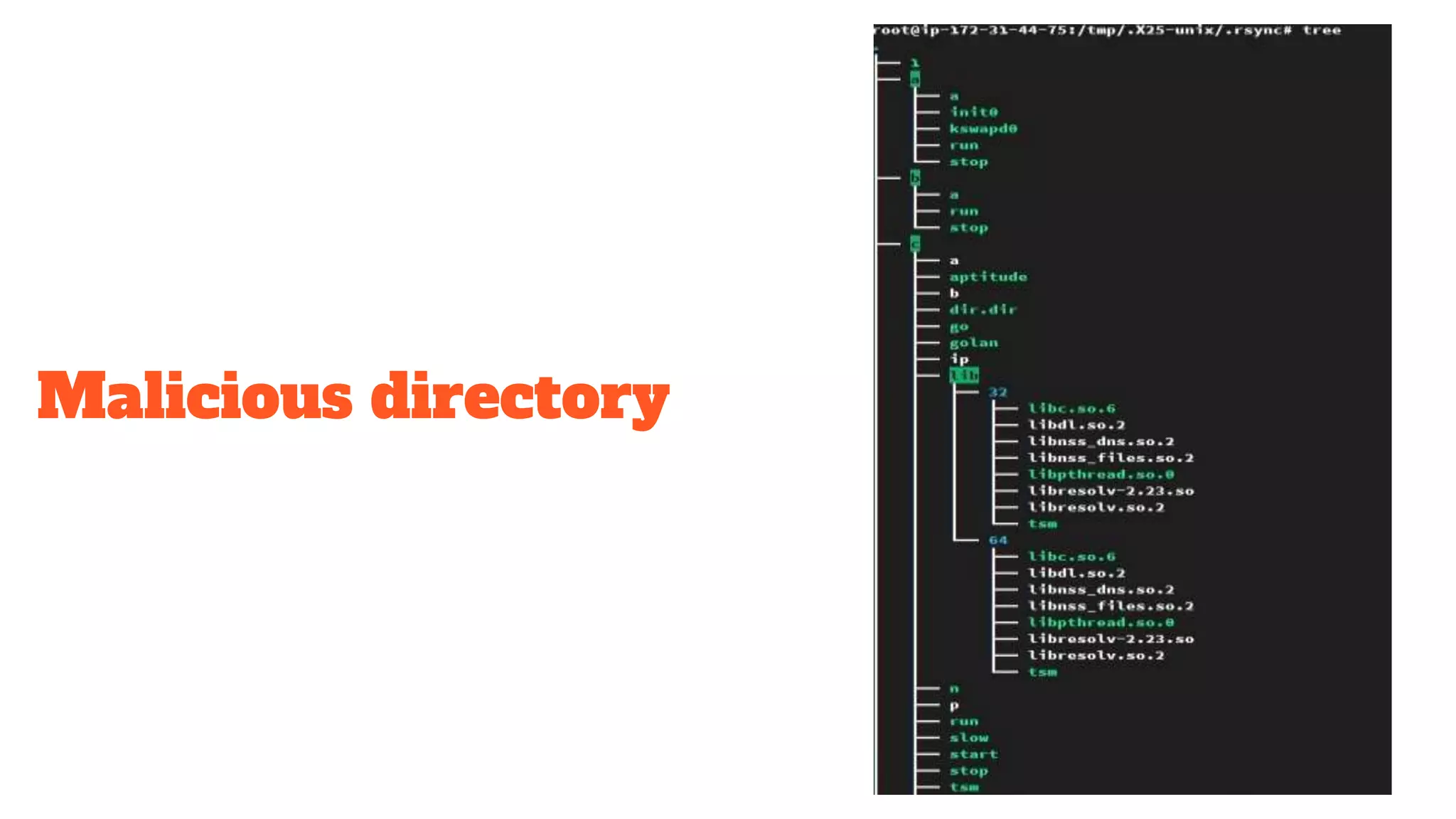 Malicious directory
 