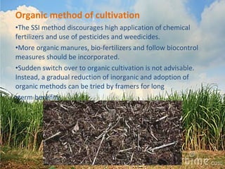 Organic method of cultivation 
•The SSI method discourages high application of chemical 
fertilizers and use of pesticides and weedicides. 
•More organic manures, bio-fertilizers and follow biocontrol 
measures should be incorporated. 
•Sudden switch over to organic cultivation is not advisable. 
Instead, a gradual reduction of inorganic and adoption of 
organic methods can be tried by framers for long 
•term benefits. 
 