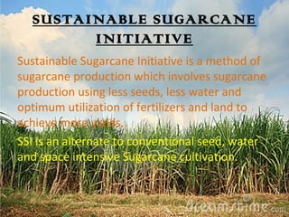 SUSTAINABLE SUGARCANE 
INITIATIVE 
Sustainable Sugarcane Initiative is a method of 
sugarcane production which involves sugarcane 
production using less seeds, less water and 
optimum utilization of fertilizers and land to 
achieve more yields. 
SSI is an alternate to conventional seed, water 
and space intensive Sugarcane cultivation. 
 