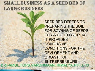 SEED BED REFERS TO
PREPARING THE SOIL
FOR SOWING OF SEEDS
FOR A GOOD CROP. AS
IT PROVIDES
CONDUCIVE
CONDITIONS FOR THE
DEVLOPMENT AND
GROWTH OF
ENTREPRENEURS
E.g:-AMUL,TOPS,VARDHMAAN, HIMALYA.PVT.LTD
27
 