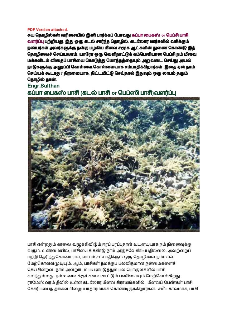 tamil topics in tamil Tamil daily newspaper website tamil news updates, business news in tamil, sports news in tamil, tamil newspaper, politics, cinema, current affairs, environment, latest news. tamil topics in tamil Tamil daily newspaper website tamil news updates, business news in tamil, sports news in tamil, tamil newspaper, politics, cinema, current affairs, environment, latest news.