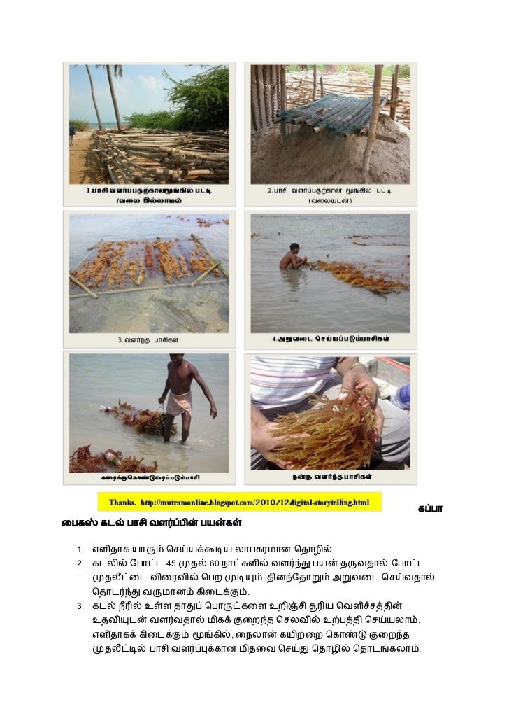 business ideas n tamil