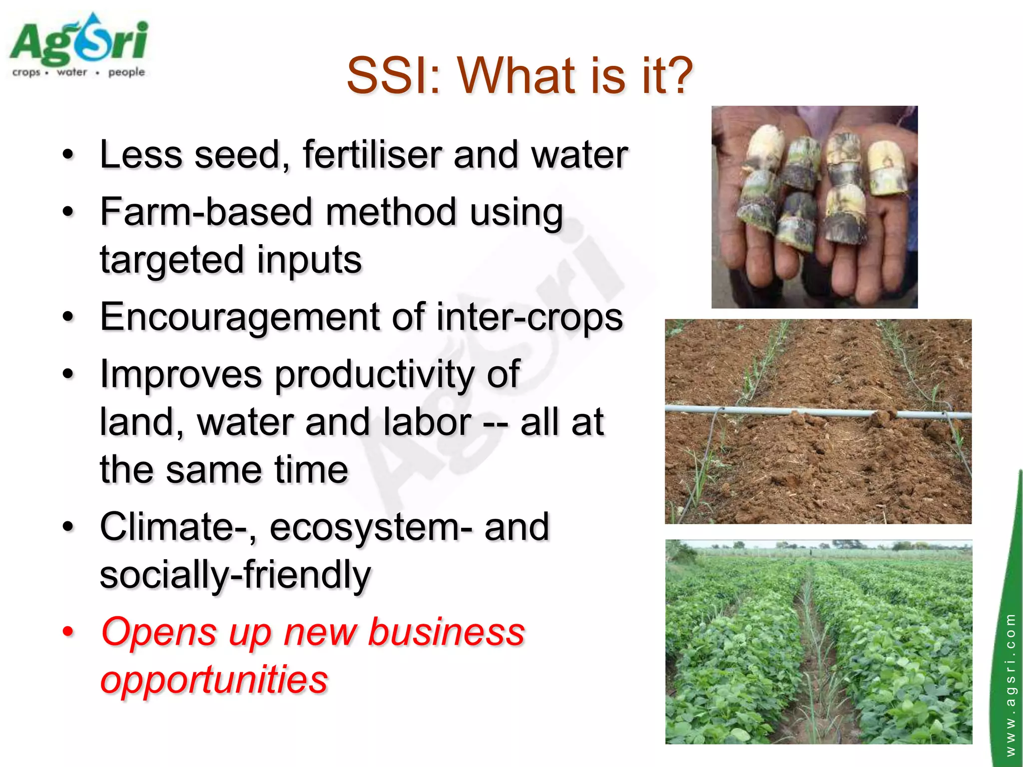 SSI: What is it?
• Less seed, fertiliser and water
• Farm-based method using
  targeted inputs
• Encouragement of inter-crops
• Improves productivity of
  land, water and labor -- all at
  the same time
• Climate-, ecosystem- and
  socially-friendly
• Opens up new business




                                    www.agsri.com
  opportunities
 