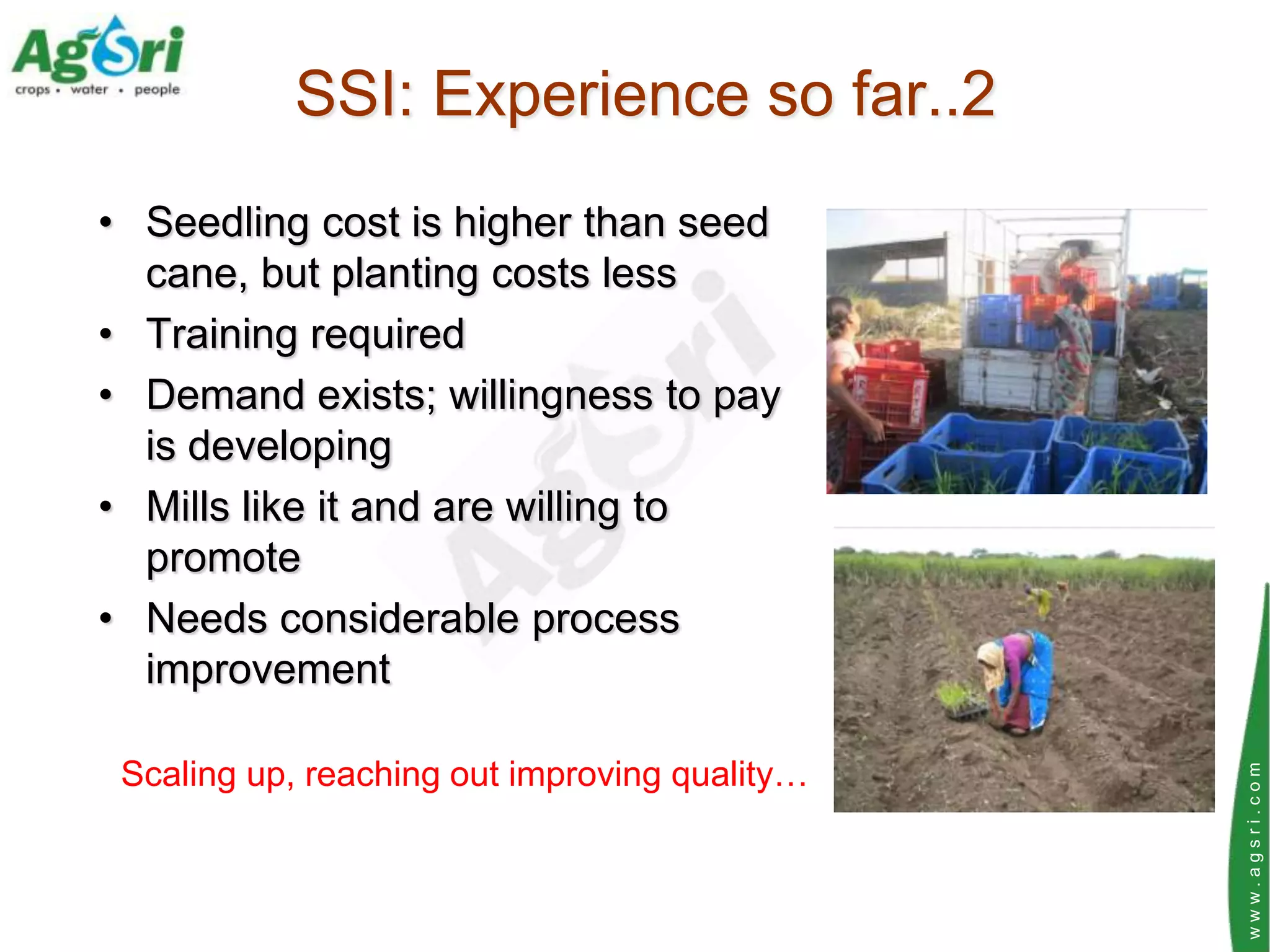 SSI: Experience so far..2
• Seedling cost is higher than seed
  cane, but planting costs less
• Training required
• Demand exists; willingness to pay
  is developing
• Mills like it and are willing to
  promote
• Needs considerable process
  improvement

 Scaling up, reaching out improving quality…




                                               www.agsri.com
 