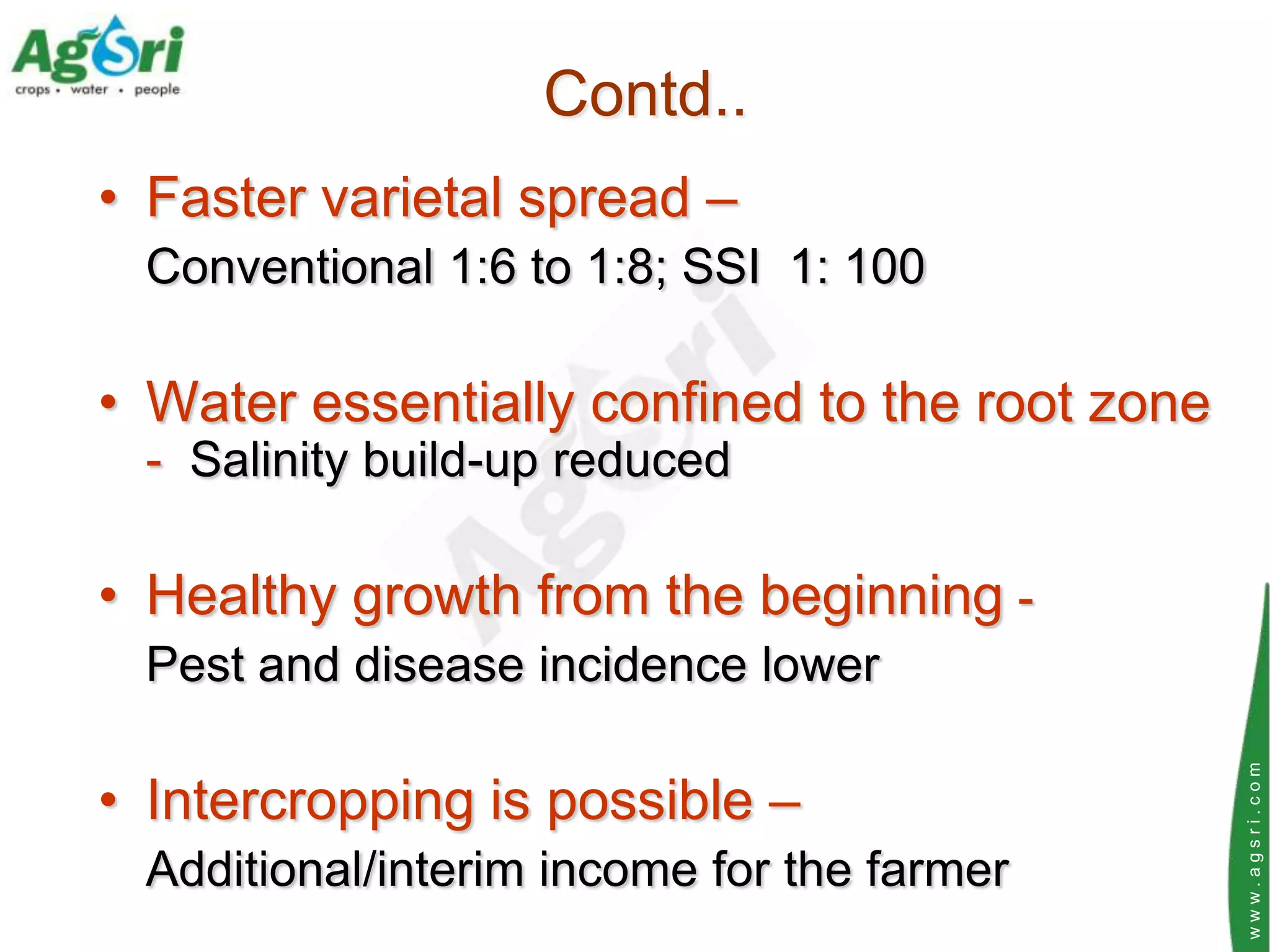 Contd..
• Faster varietal spread –
 Conventional 1:6 to 1:8; SSI 1: 100

• Water essentially confined to the root zone
 - Salinity build-up reduced

• Healthy growth from the beginning -
 Pest and disease incidence lower




                                                www.agsri.com
• Intercropping is possible –
 Additional/interim income for the farmer
 
