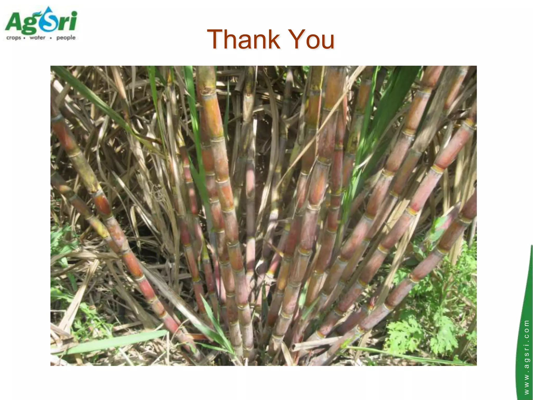 Thank You




www.agsri.com
 