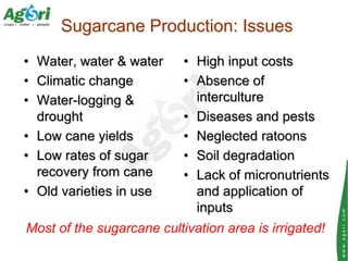 Sugarcane Production: Issues
• Water, water & water     • High input costs
• Climatic change          • Absence of
• Water...