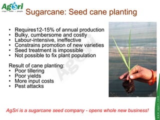 Sugarcane: Seed cane planting

 •   Requires12-15% of annual production
 •   Bulky, cumbersome and costly
 •   Labour-inte...