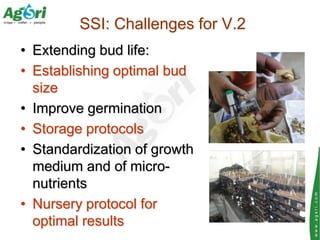 SSI: Challenges for V.2
• Extending bud life:
• Establishing optimal bud
  size
• Improve germination
• Storage protocols
...
