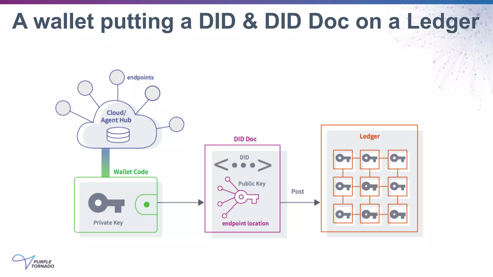 A wallet putting a DID & DID Doc on a Ledger
 