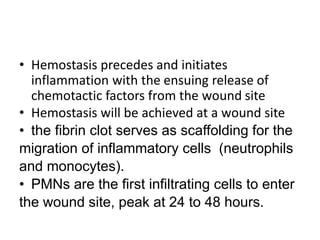 • Hemostasis precedes and initiates
inflammation with the ensuing release of
chemotactic factors from the wound site
• Hemostasis will be achieved at a wound site
• the fibrin clot serves as scaffolding for the
migration of inflammatory cells (neutrophils
and monocytes).
• PMNs are the first infiltrating cells to enter
the wound site, peak at 24 to 48 hours.
 
