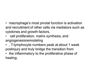 • macrophage’s most pivotal function is activation
and recruitment of other cells via mediators such as
cytokines and growth factors,
• cell proliferation, matrix synthesis, and
angiogenesisremodeling
• , T-lymphocyte numbers peak at about 1 week
postinjury and truly bridge the transition from
• the inflammatory to the proliferative phase of
healing.
 